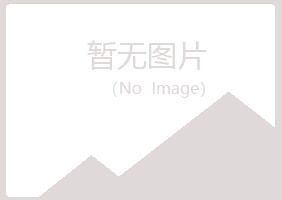 公主岭小夏机械有限公司